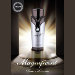 Armaf - Magnificent Pour Homme, 100 ml