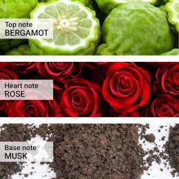 Оригинал Carrera - Jeans 700 Original Uomo Eau de Toilette 125 ml