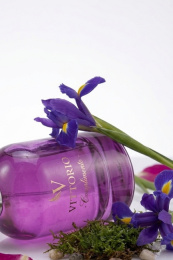 Vittorio - Complimento Extrait De Parfum 100 ml