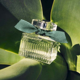 Оригинал Chloe - Rose Naturelle intense Eau de Parfum 30 ml