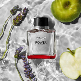 Оригинал Antonio Banderas - Power Of Seduction 100 ml