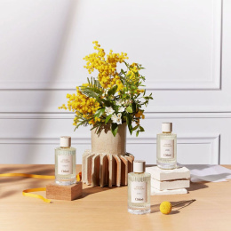 Высокого качества Chloe - Atelier Des Fleurs Herba Mimosa 50 ml
