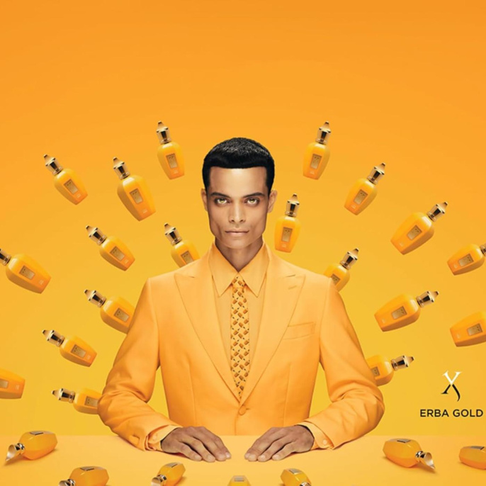 Оригинал Xerjoff V Erba Gold EDP 100 ml