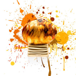 Оригинал The House of Oud Just Before EDP 75 ml