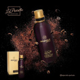 La Parretto - Montelo Intense Cafe 100 ml