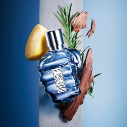 Оригинал Diesel - Only The Brave Pour Homme Eau de Toilette 75 ml