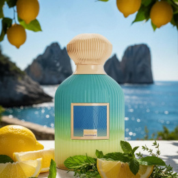Paris Corner - Humya Gingerique 100 ml