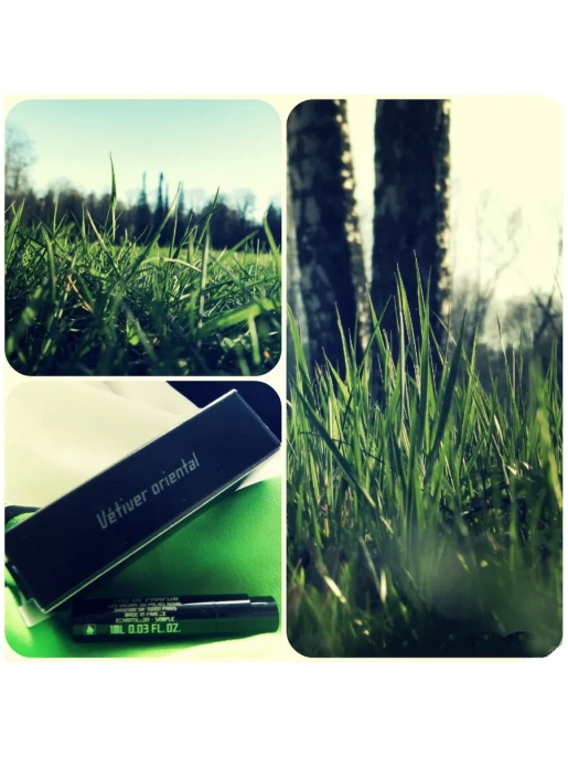 Пробник Оригинал SERGE LUTENS Vetiver Oriental Eau De Parfum 1 ml