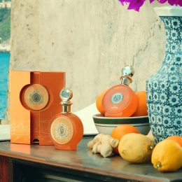 Paris Corner - North Stag Expressions IV Quatre 100 ml