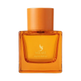  Volare Parfums - Midnight Cocktail Eau de Parfum 100 ml