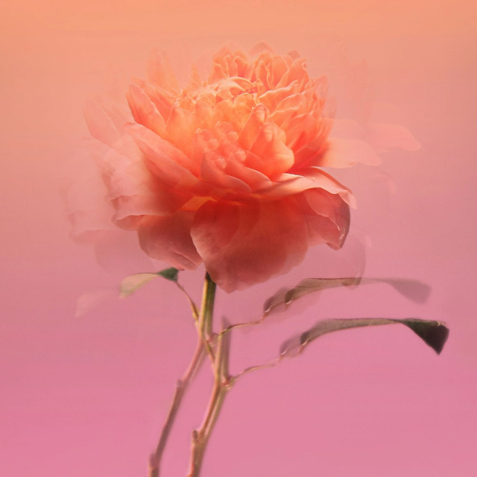 Высокого качества BDK Parfums - Impadia 100 ml