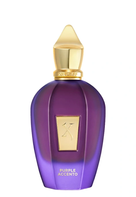 Оригинал Xerjoff V Purple Accento EDP 100 ml