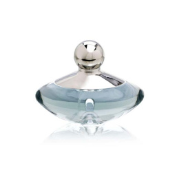 Оригинал Ellen Tracy - imagine Eau de Parfum Woman 50 ml